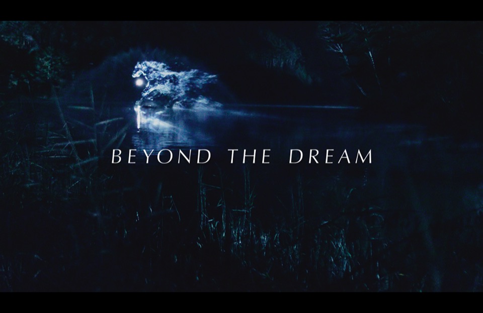BEYOND THE DREAM