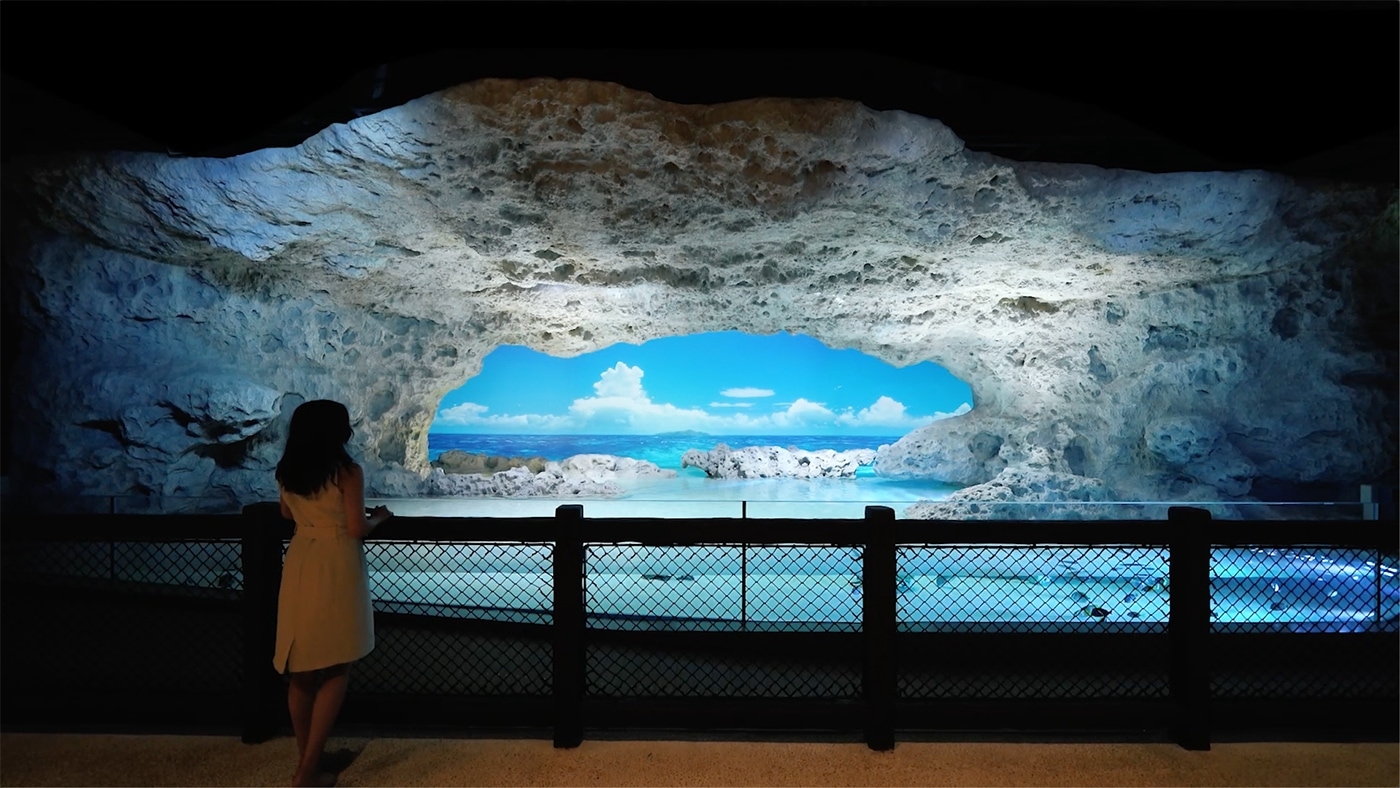 DMM かりゆし水族館