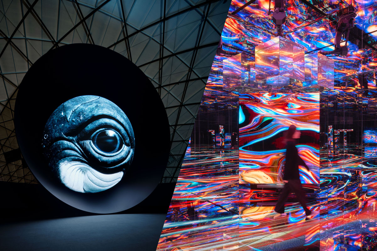 Expo 2025 Osaka, Kansai null² Signature Pavilion and BLUE OCEAN DOME ...