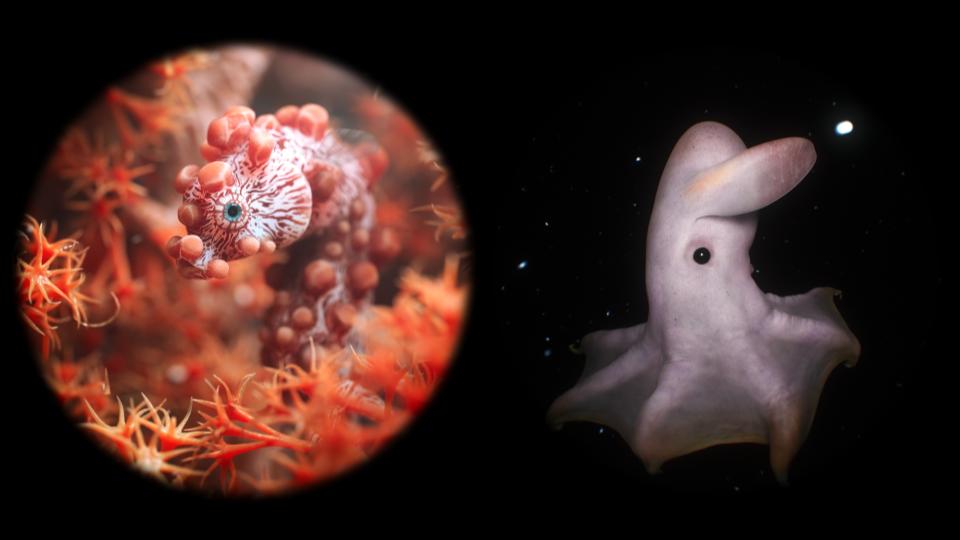 Chapter.2 Image_6742