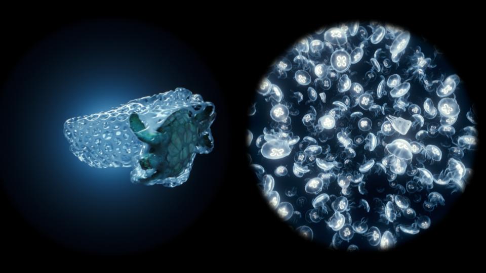 Chapter.3 Image_6743