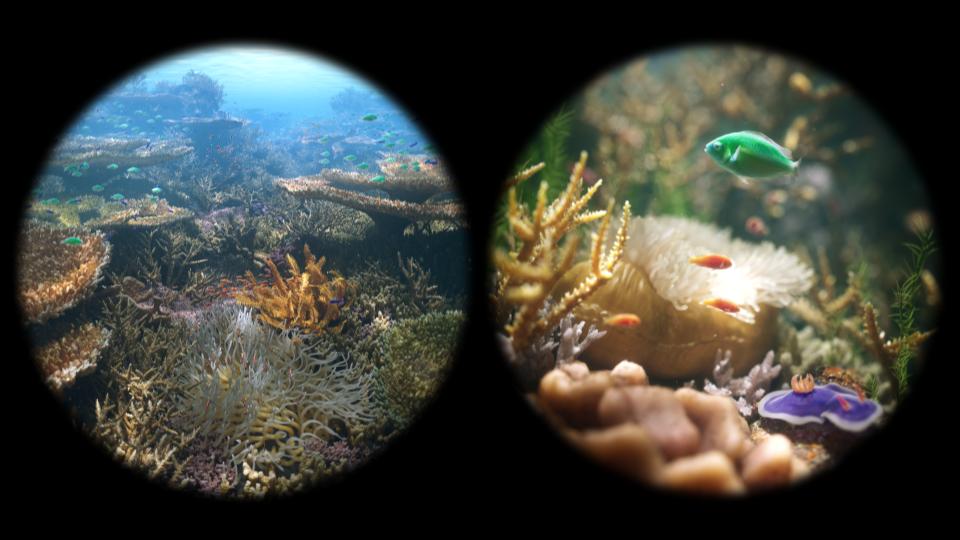 Chapter.3 Image_6745